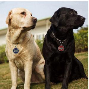 2018 Hot Sale Hund oder Katze ID Tags graviert oder QR Code Pet Tag