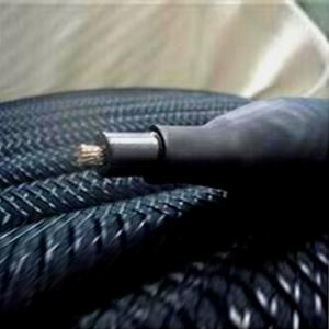 leitendes polymer flexible anode