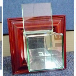 An der Wand befestigter Baseball Vitrine