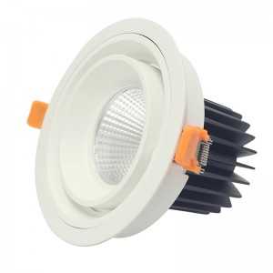 Runde und quadratische LED-Deckenleuchte COB 20W 30W vertieft hinunter Licht LED-Deckenleuchte