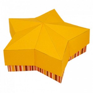 Kuchenförmiges beeindruckendes Design-Paket Geschenkbox für Kosmetik