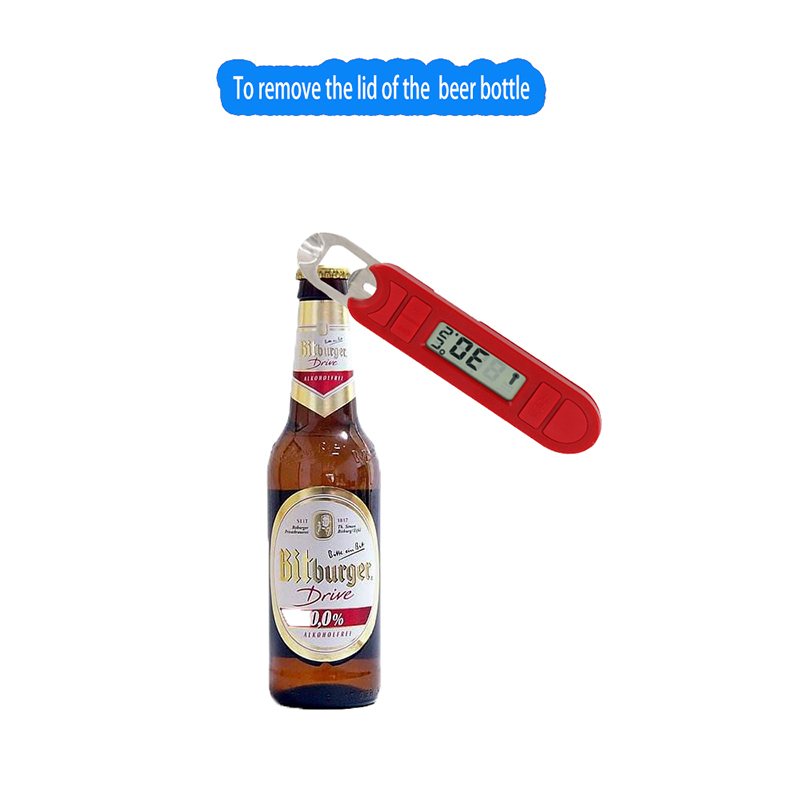 Digital Homebrew Thermometer für Bier oder Wein -50 bis 300 Grad in Celsius