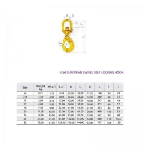 G80 Swivel Self-Lock Sicherheitshaken lackiert