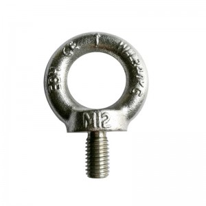 316 Geschmiedete Augenschraube DIN580