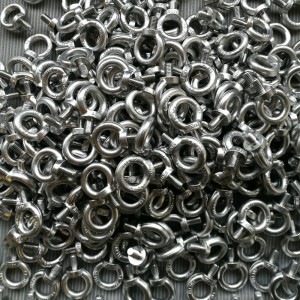 316 Geschmiedete Augenschraube DIN580