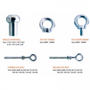 316 Geschmiedete Augenschraube DIN580