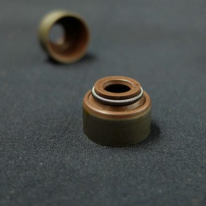 Viton-Gummiklappen-Wellendichtringe für den Ersatzteil-Aftermarket-Dieselmotor