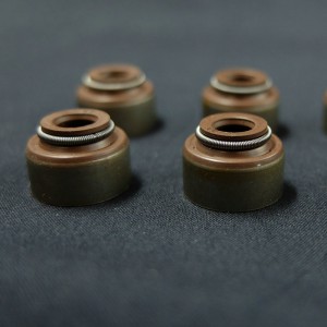 Viton-Gummiklappen-Wellendichtringe für den Ersatzteil-Aftermarket-Dieselmotor