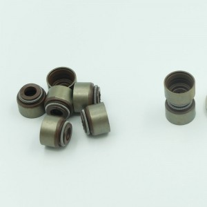 Ölbeständige Hochleistungs-FKM-Ventildichtung für Amerika-Serie