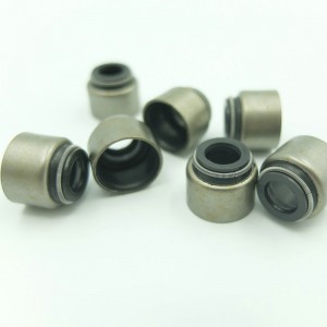 Auto-Ersatzteile Viton-Gummidichtringdichtungen für Kraftfahrzeuge