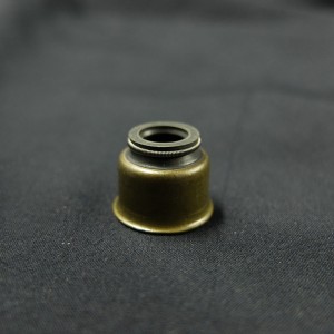 Hochwertige made in China Ventilschaft-Öldichtung für Ford Fahrzeuge