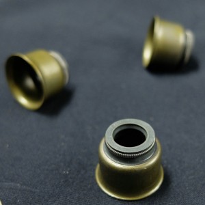 Hochwertige made in China Ventilschaft-Öldichtung für Ford Fahrzeuge