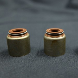 China Supplier Ventilschaft-Öldichtung für Renault-Autos