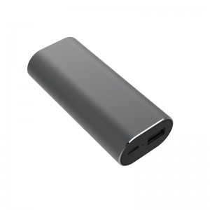 WS-P2 Smart Voice Translator Ohrhörer