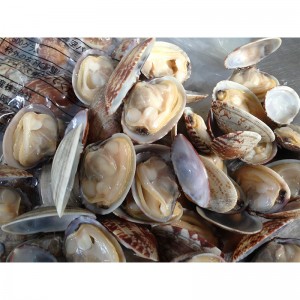 VAKUUM-SHELL-ON-CLAM