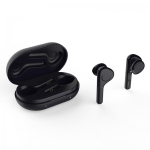 WS-33-48 Sprachen Übersetzung Bluetooth 5.0 TWS-Ohrhörer