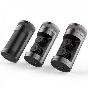 WS-36-Smart Voice Translator Ohrhörer mit Ladebox Drahtloser Kopfhörer Dual Mic Translator für das Reisegeschäft