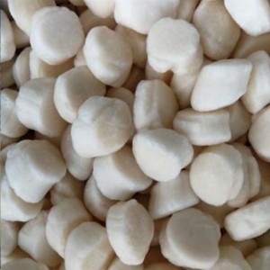 Gefrorenes Seekammuschelfleisch
