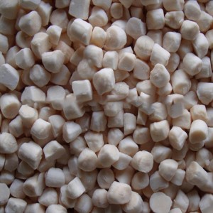 Gefrorenes Seekammuschelfleisch