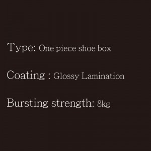 Schuhkarton OP Type1