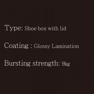 Schuhkarton mit Deckel Typ2