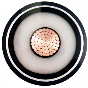 110kv Xlpe HV-Stromkabel Kompakter Segmentleiter 1000mm2