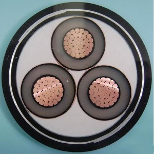 1-30KV 6mm 3-adriges, geschirmtes Kabel IEC60502, SANS 1339, BS 6622, AS / NZS1429.1, NFC 33226, CSA C 68.5