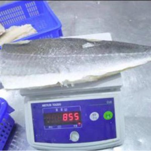 Gefrorene leichte gesalzene Atlantik-Seelachsfilets