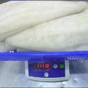 Gefrorene leichte gesalzene Atlantik-Seelachsfilets