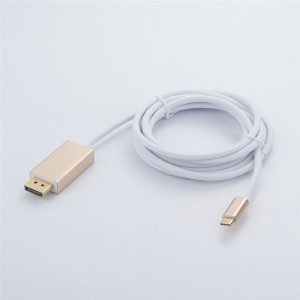 USB TYP-C zu Mini Displayport Stecker-Konverter ABS-Gehäusecode: FEF-USBIC-014