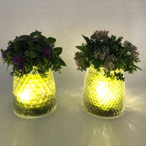 LED-Glas-Tischplatte-dekorative künstliche saftige Anlagen mit Kugel-Anzeigen-Vase
