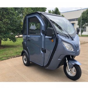 E-Trike, E-Dreirad, elektrisches Trike