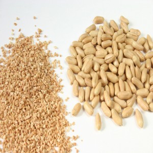 Erdnuss-Chopper / Erdnuss-Trockener De Chopper