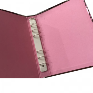 Schöne individuelle Designs Karton 6 Ringbuch