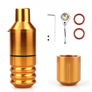 Tätowierungs-Stift-Kurzstiftmaschine, deutsche Faulhaber-Motor-Tätowiermaschine, mit 2 Köpfen, GleichstromschnittstelleTattoo Guns von Beauty \u0026 Health