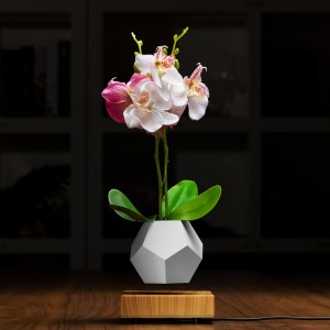 Bonsai-Topfpflanzer mit magnetischer schwebender Schwimmbodenluft PA-0708