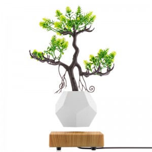 neue Holzbasis Magnetschwebeboden Flyte Luft Bonsai Topf Pflanzer