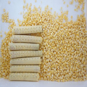 TL-500X Mais-Dreschmaschine / Mais-Dreschlinie