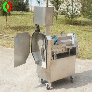 Abnehmbarer Multifunktions-Gemüseschneider mit zwei Enden