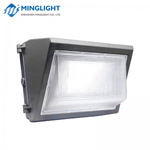 LED Wandleuchte WPB 60W