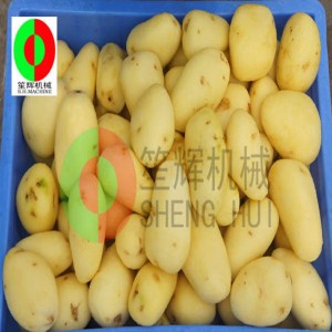 Melonenfrucht-Reinigungsmaschine / Melonenfrucht-Reinigungsschälmaschine / Melonenfrucht-Bürstenreinigungsschälmaschine QX-612 neu