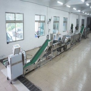 Große Porree-Tötungsfertigungsstraße