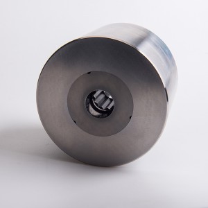 Hochpräzise Wolframcarbdie Kaltstauchschraube Hauptform