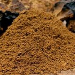Chaga-Pilz inonotus zwingt Gesundheitspflege-Wohlergänzung