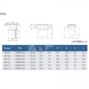 Innensechskantkörper mit Sechskantkopf reduzieren