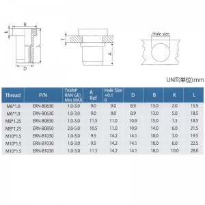 Elevator Flat Head Rivet Nüsse