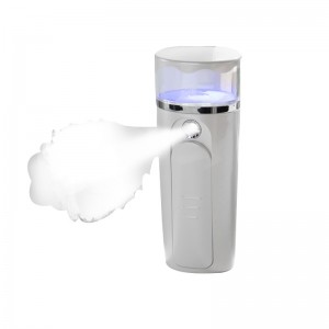 Nano Sprayer Face Steamer Gesichtsbefeuchter Mini Zerstäubung Feuchtigkeitsspendende Feuchtigkeitsspendende USB Wiederaufladbare Beauty-Gerät für Öl oder trockene Hautpflege