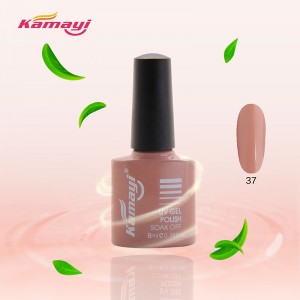 Kundenspezifische Marke Heiße Verkäufe 300colors Berufsfarben-UVgel-Nagellack 15ml für Nägel