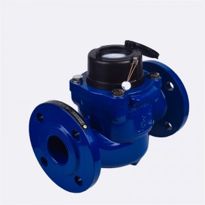 Woltman hochempfindlicher Wasserzähler