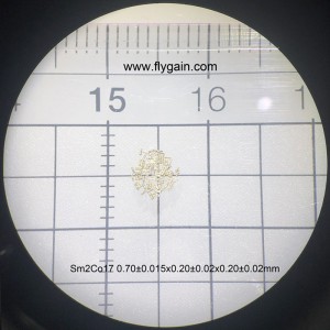 Kundenspezifischer ausgezeichneter Seltenerd-Dauermikro-Smco-Magnet